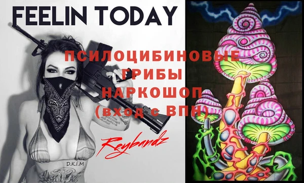 apvp Горняк