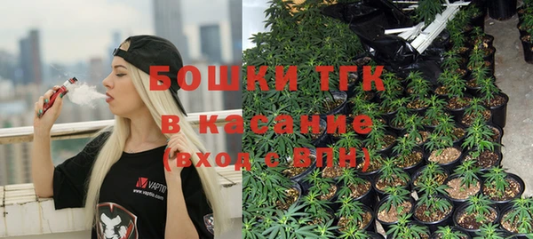 не бодяженный Горно-Алтайск