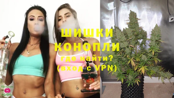 не бодяженный Горно-Алтайск