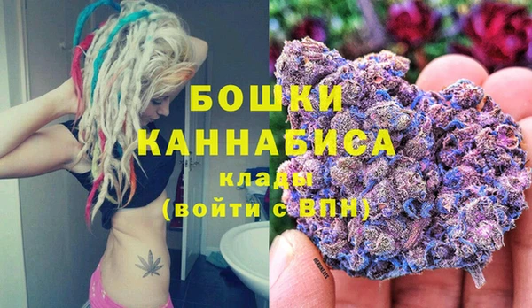 не бодяженный Горно-Алтайск