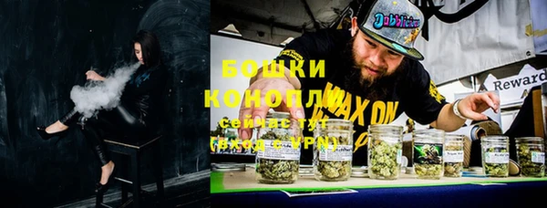 apvp Горняк