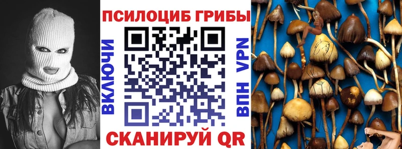 Псилоцибиновые грибы Psilocybe  как найти закладки  Дно 